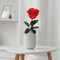 Mothers Day Rose Gifts for Mom,Birthday Gifts for Women,Mothers Day Flowers Gifts for Mom from Daughter Son,Preserved Red Rose Flower Gift for Her,Wife,Grandma,Women,Christmas,Anniversary
